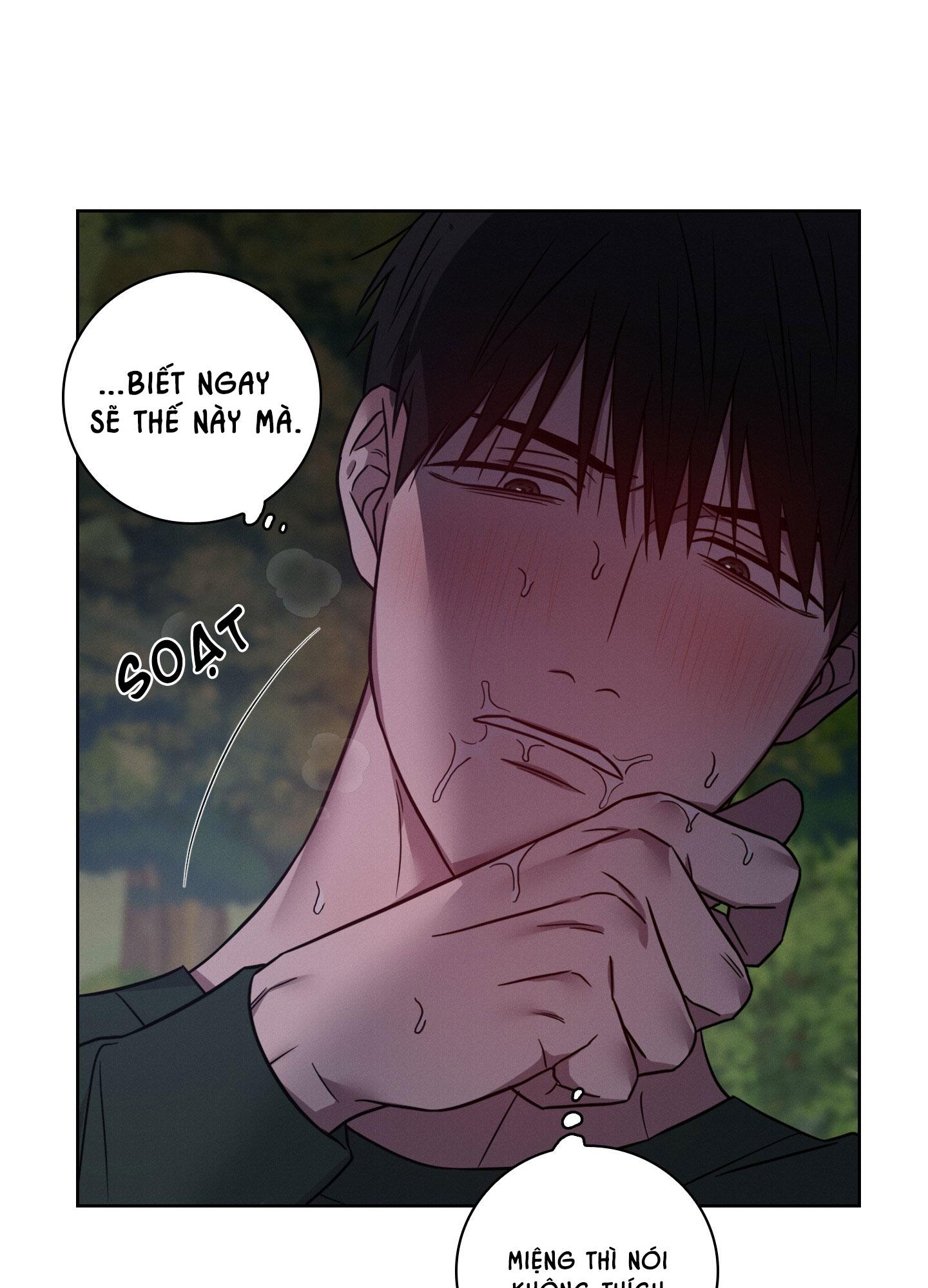 VỤ ÁN CON CU BIẾN MẤT Chapter 12 - Next 