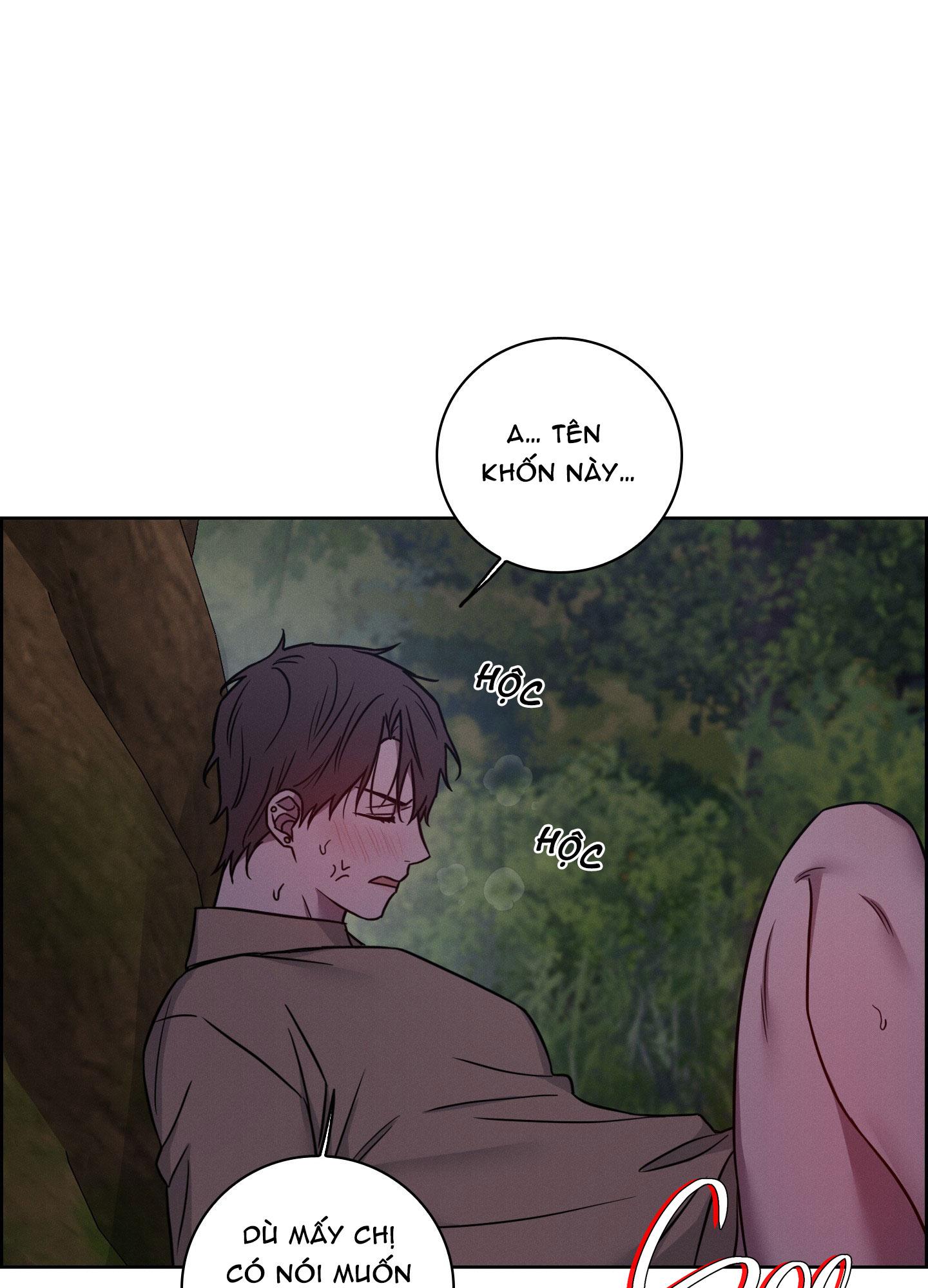 VỤ ÁN CON CU BIẾN MẤT Chapter 12 - Next 