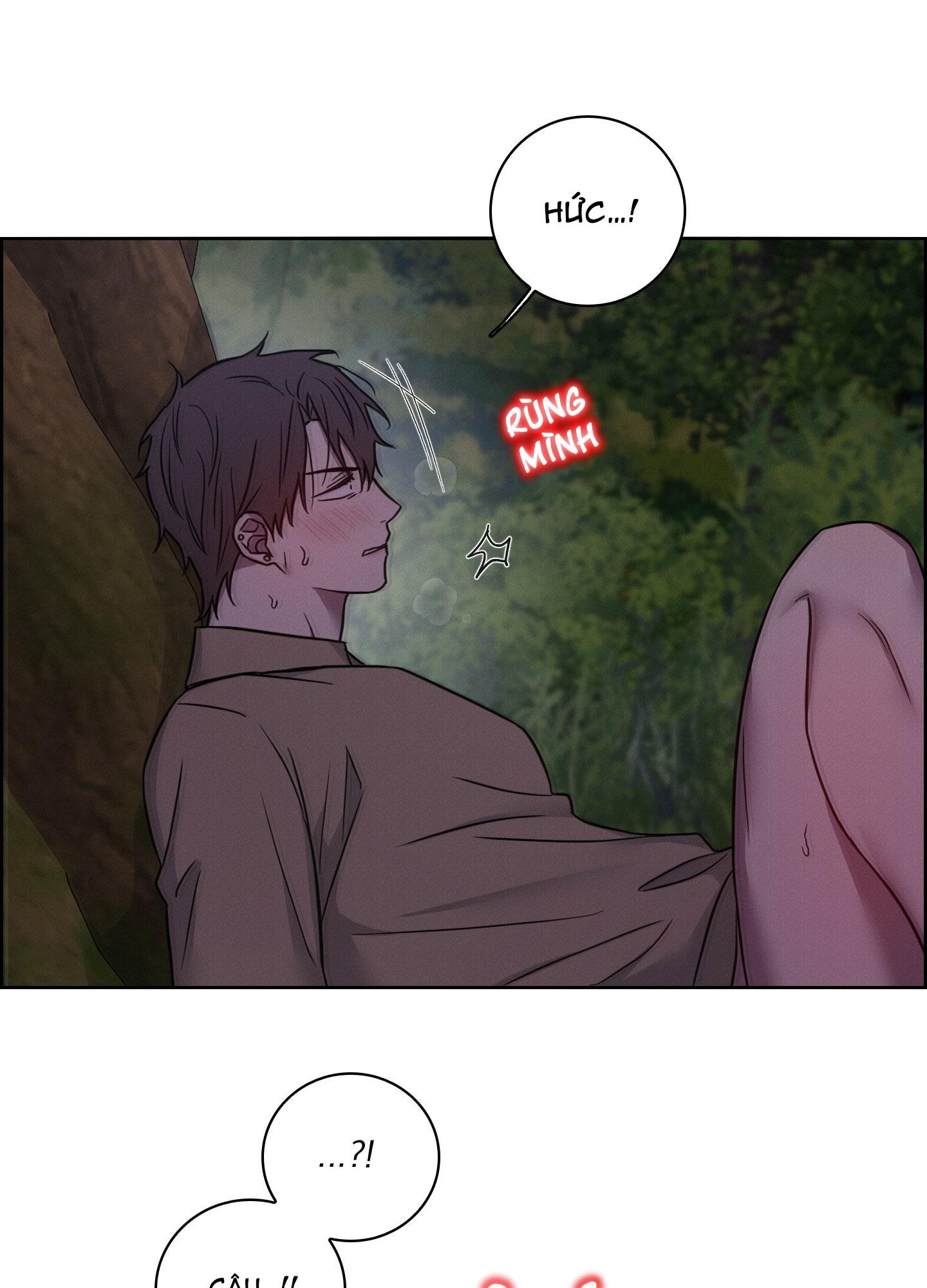 VỤ ÁN CON CU BIẾN MẤT Chapter 12 - Next 