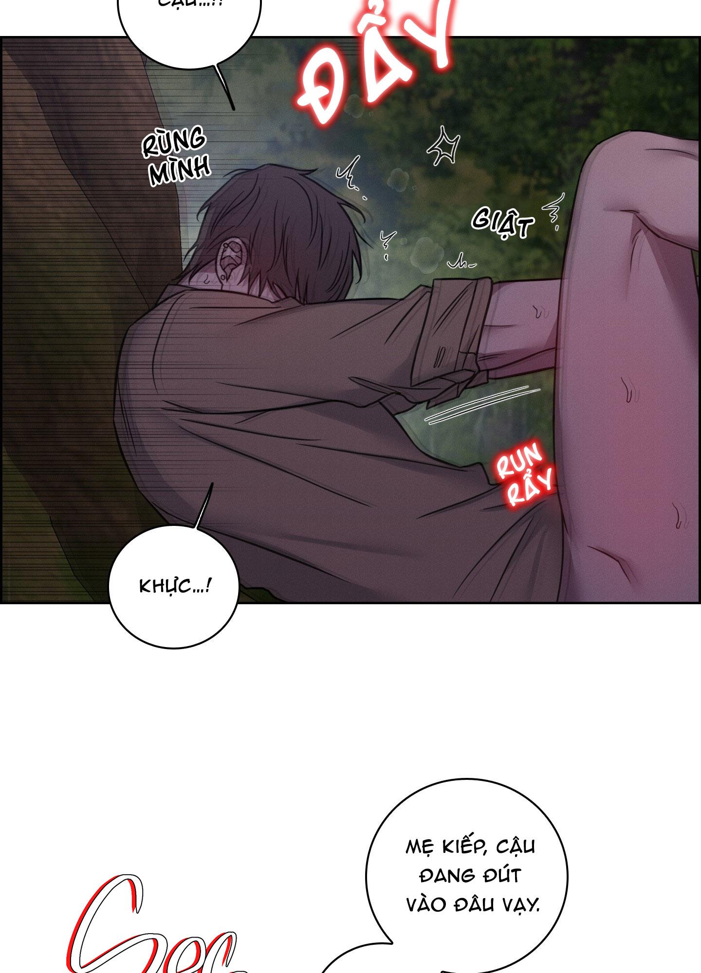 VỤ ÁN CON CU BIẾN MẤT Chapter 12 - Next 