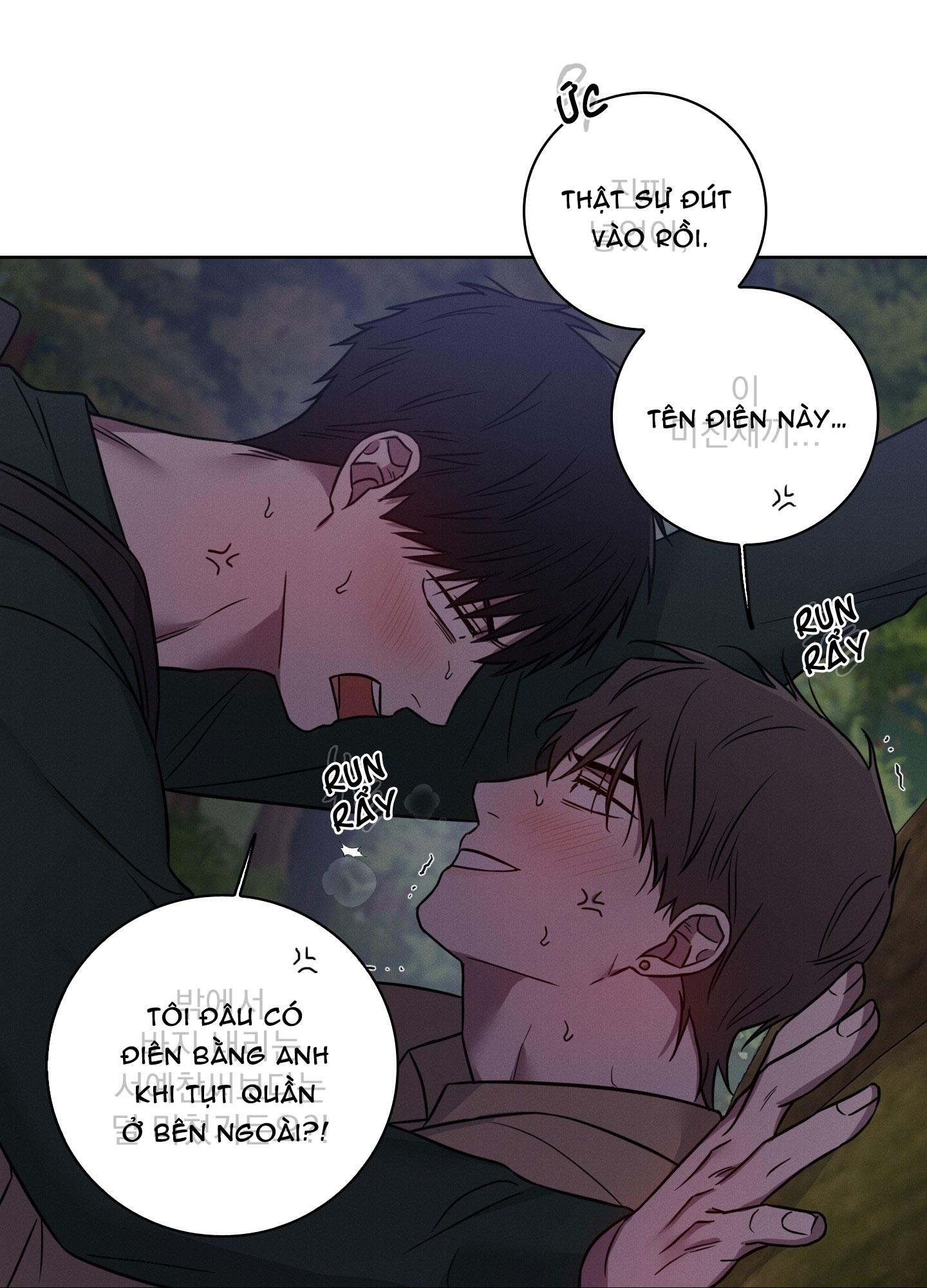 VỤ ÁN CON CU BIẾN MẤT Chapter 12 - Next 