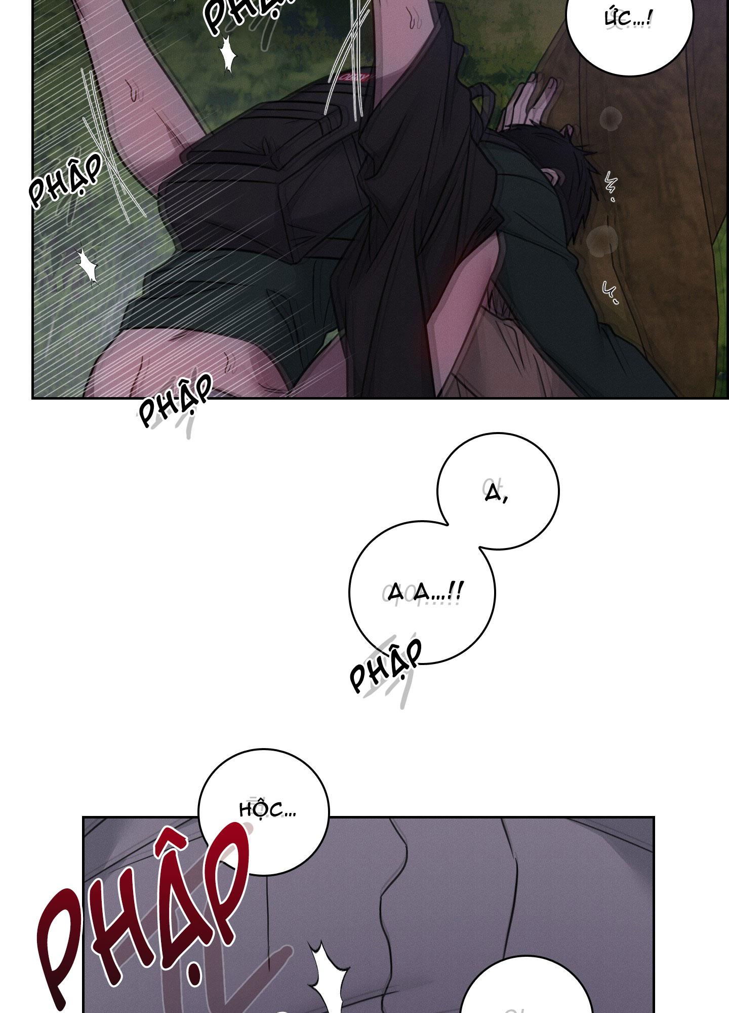 VỤ ÁN CON CU BIẾN MẤT Chapter 12 - Next 