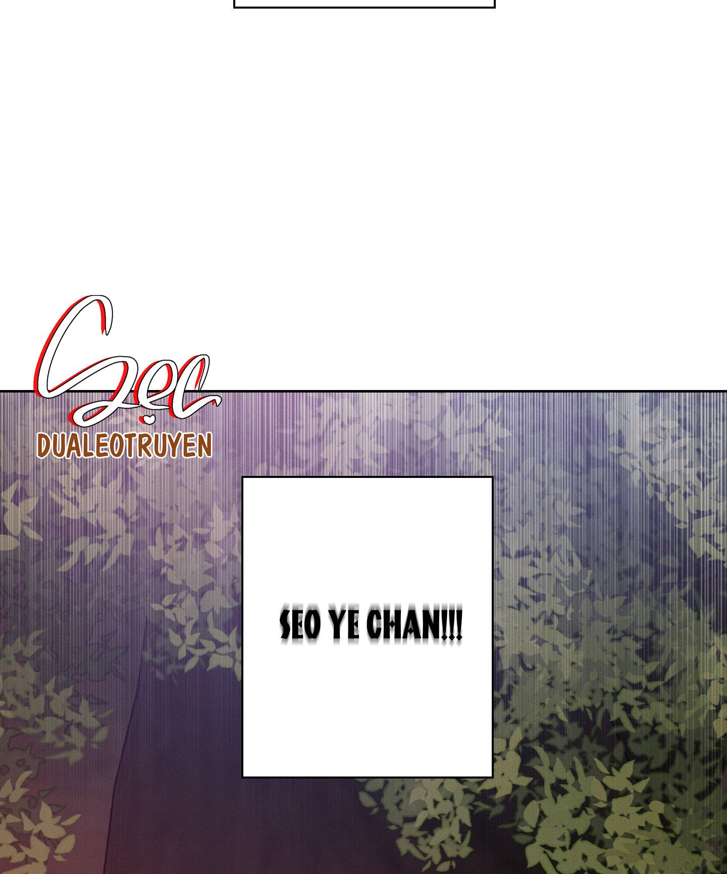 VỤ ÁN CON CU BIẾN MẤT Chapter 12 - Next 