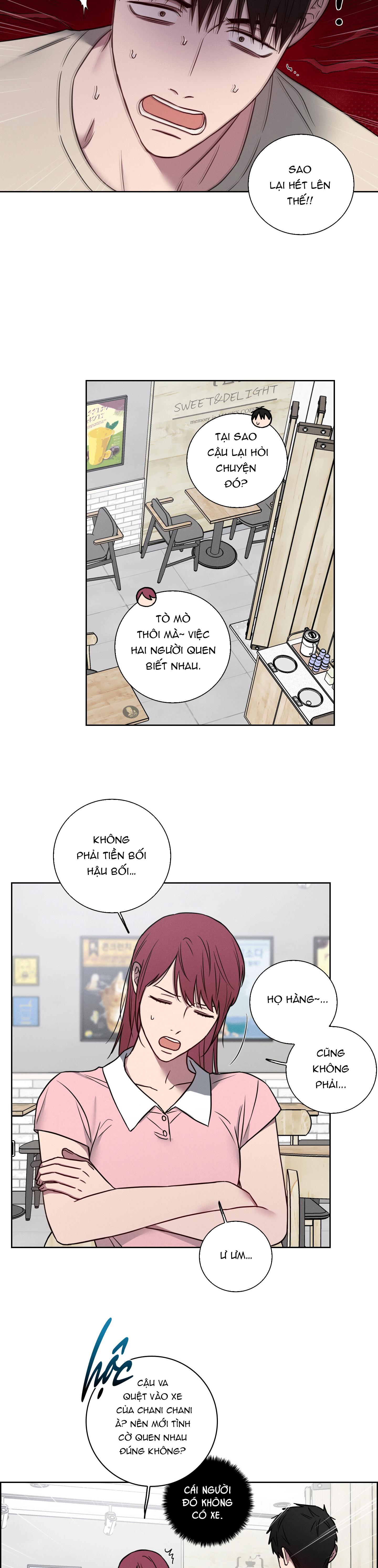 VỤ ÁN CON CU BIẾN MẤT Chapter 18 - Trang 3
