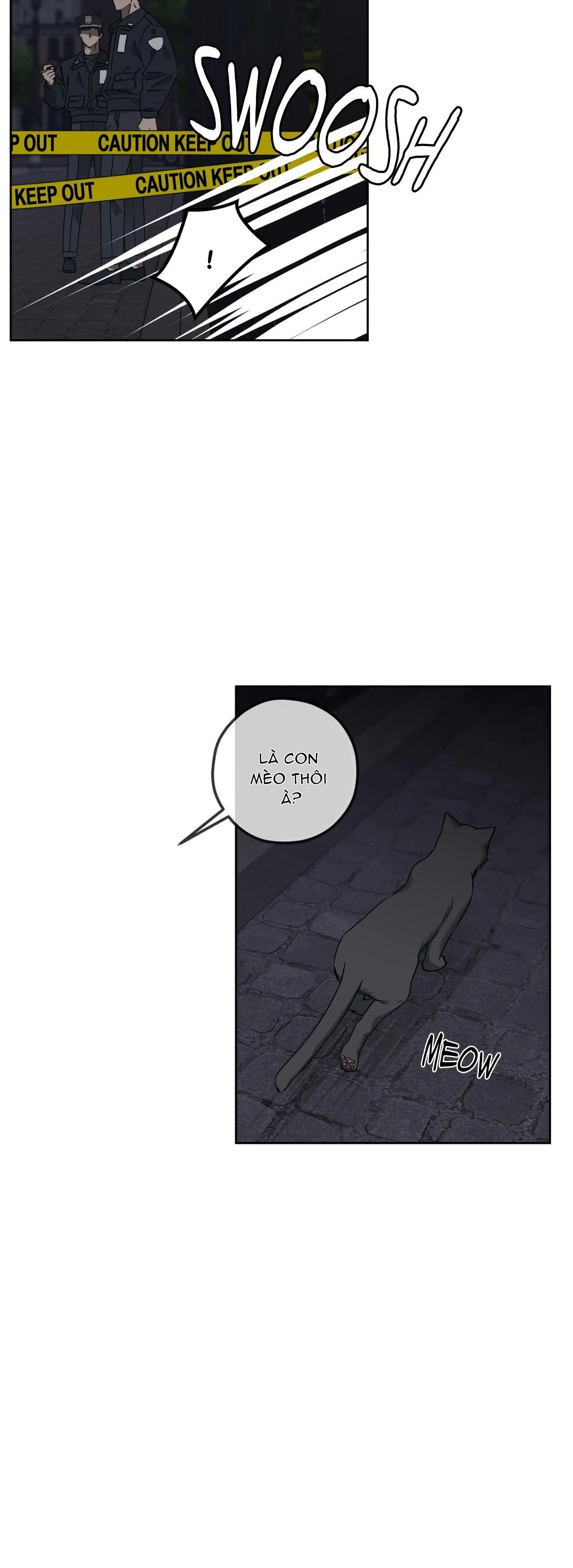 Vụ Án Mạng Kinh Hoàng Tại Số 19 Phố Sunset Chapter 3 39