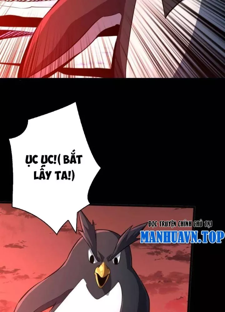 Vừa Chơi Đã Có Tài Khoản Vương Giả Chapter 531 - Trang 2