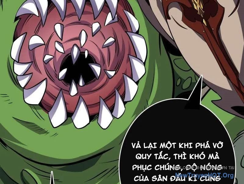 Vừa Chơi Đã Có Tài Khoản Vương Giả Chapter 538 - Trang 2