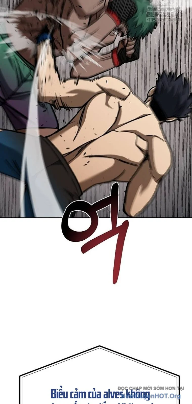 Vua Võ Đài Chapter 132 45