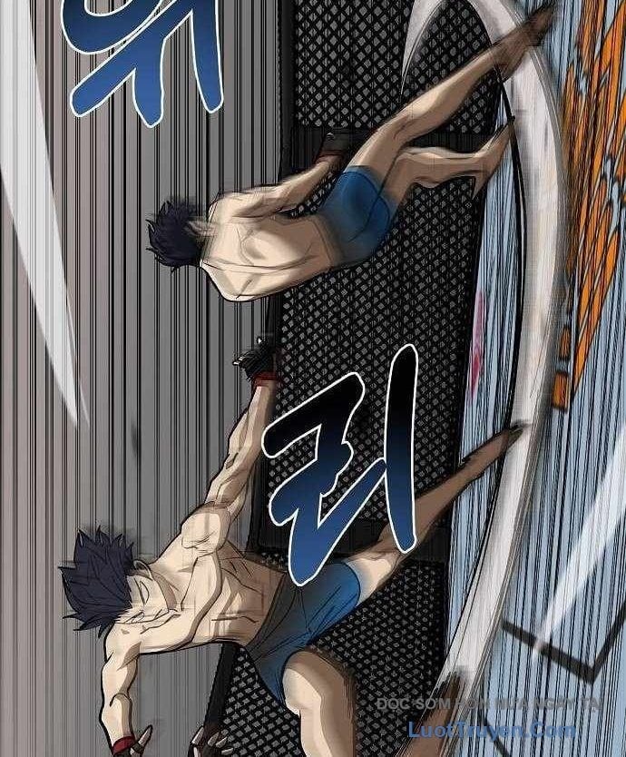 Vua Võ Đài Chapter 147 - Next 