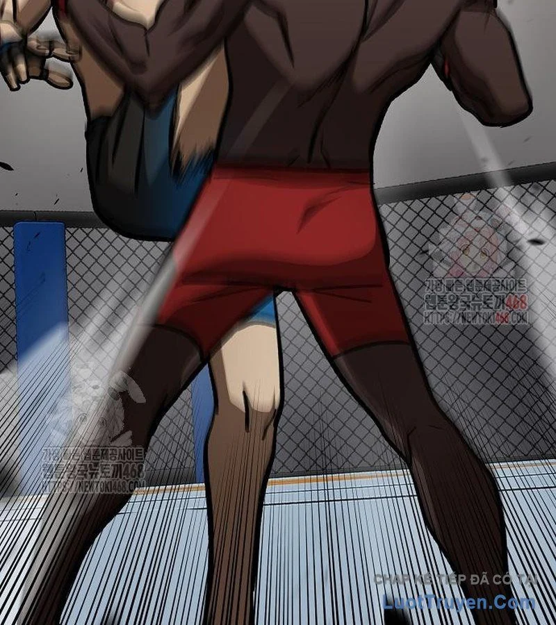 Vua Võ Đài Chapter 160 - Trang 2