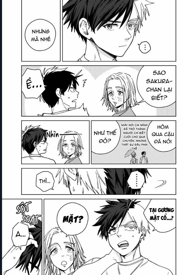 Wind Breaker (Nii Satoru) Chapter 177 - Trang 2