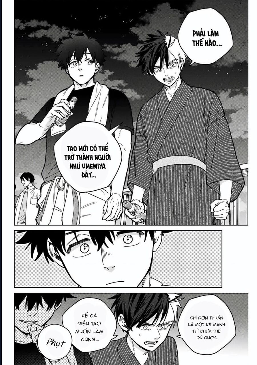 Wind Breaker (Nii Satoru) Chapter 181 - Trang 3