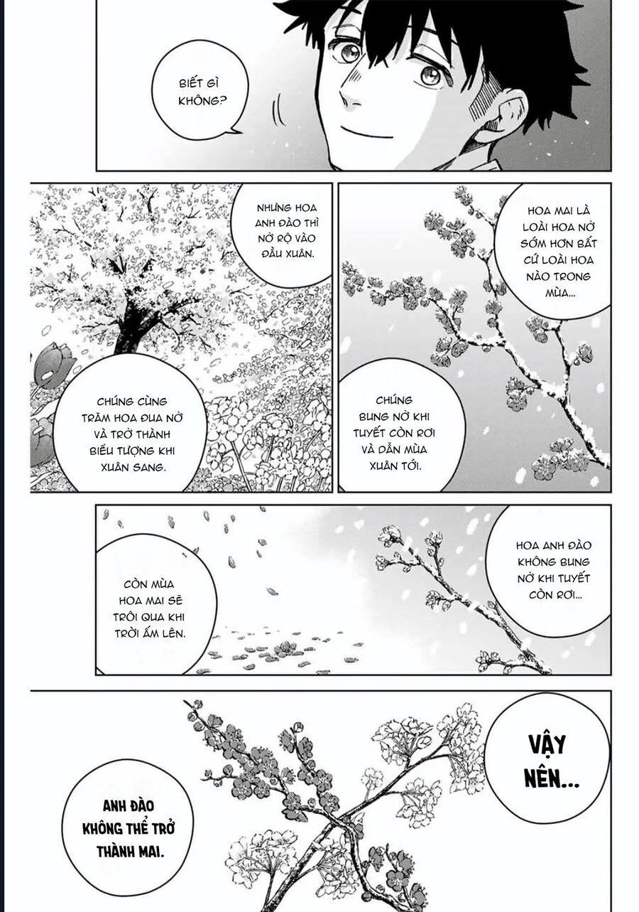 Wind Breaker (Nii Satoru) Chapter 181 - Trang 3