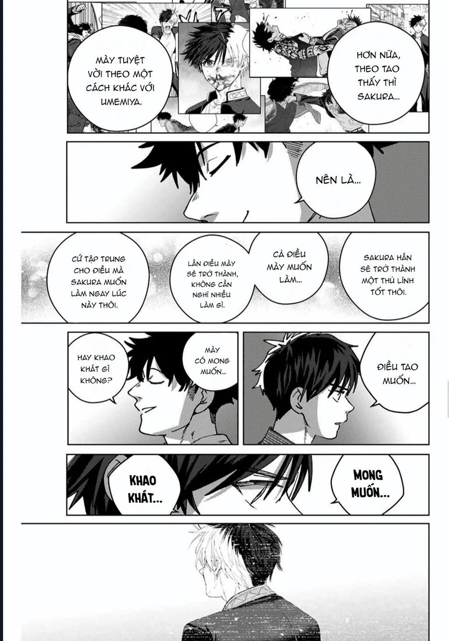 Wind Breaker (Nii Satoru) Chapter 181 - Trang 3