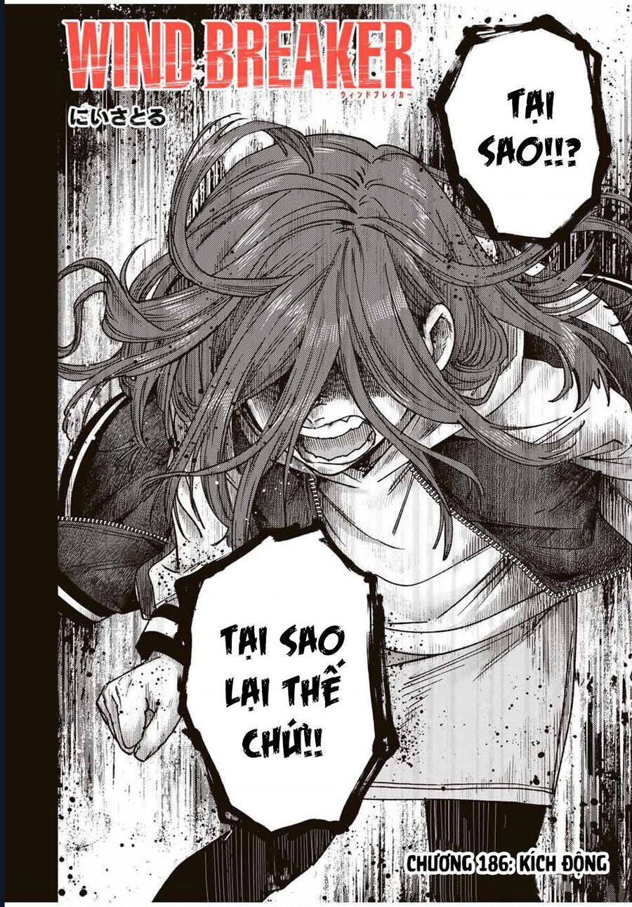Wind Breaker (Nii Satoru) Chapter 186 - Trang 3
