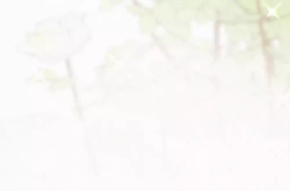 Xã Hội Mồn Lèo Chapter 91 - Trang 2