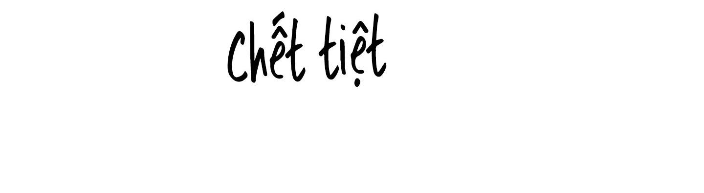 Xe tải tình yêu Chapter 12 - Next Chapter 13