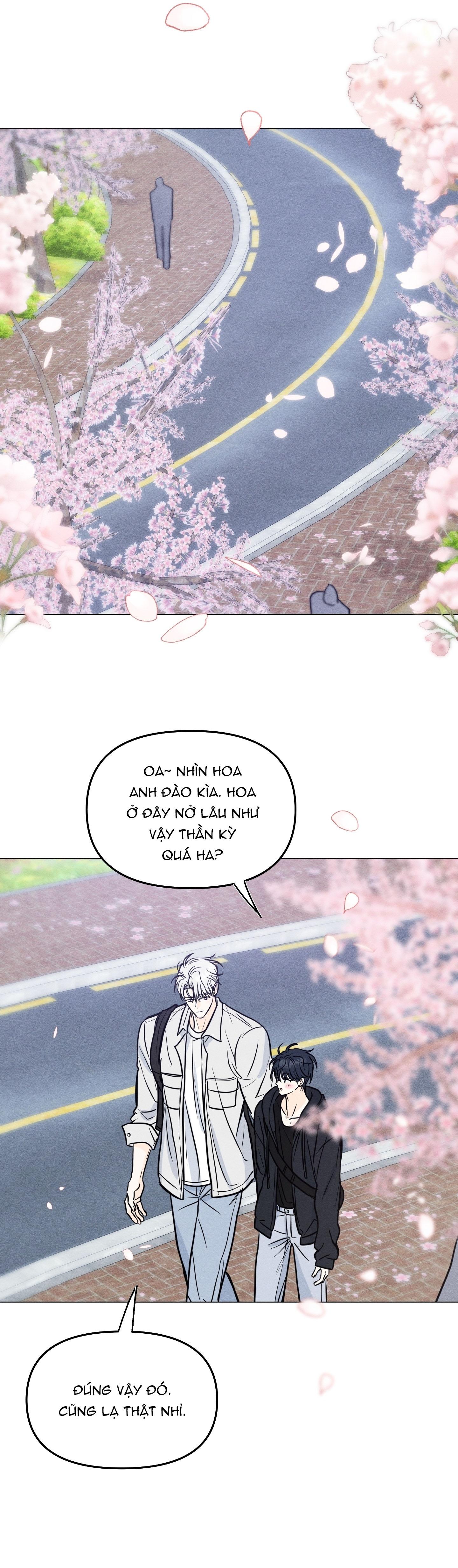 Xe tải tình yêu Chapter 16 24