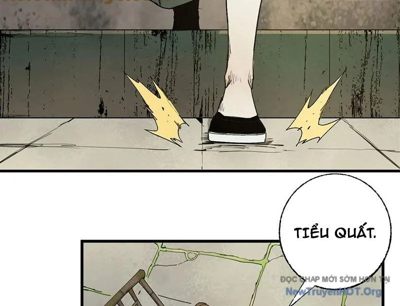 Xích Tâm Tuần Thiên Chapter 33 - Next 