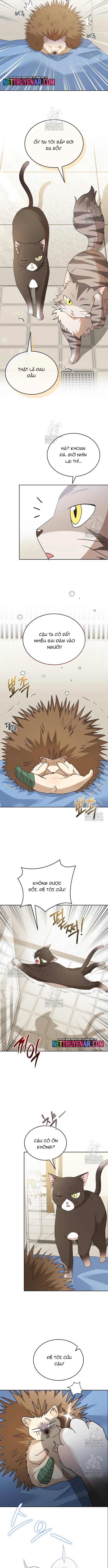 Xin Chào! Bác Sĩ Thú Y Chapter 100 - Trang 2