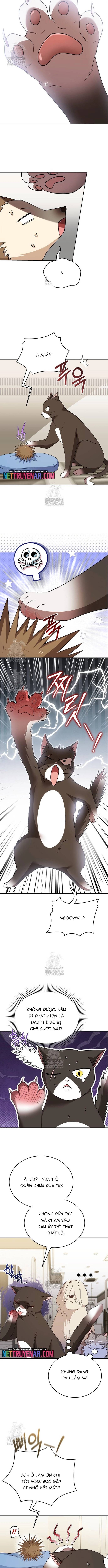 Xin Chào! Bác Sĩ Thú Y Chapter 100 - Trang 2