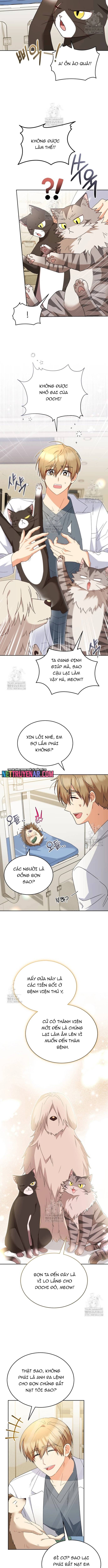 Xin Chào! Bác Sĩ Thú Y Chapter 100 - Trang 2