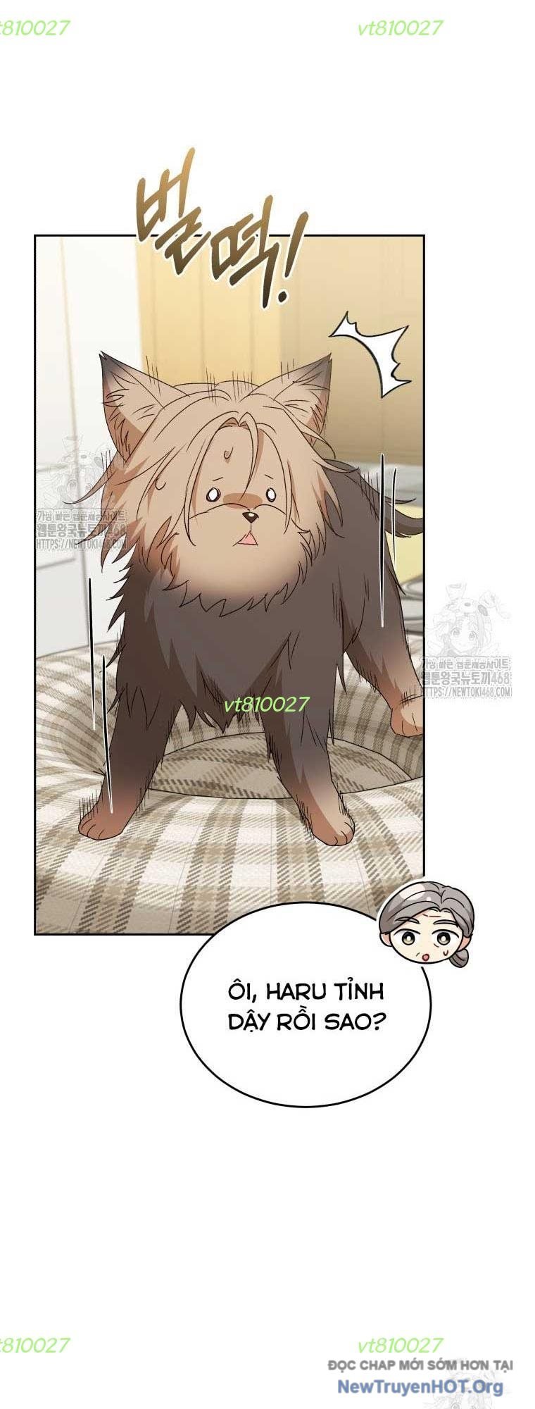 Xin Chào! Bác Sĩ Thú Y Chapter 103 - Trang 2