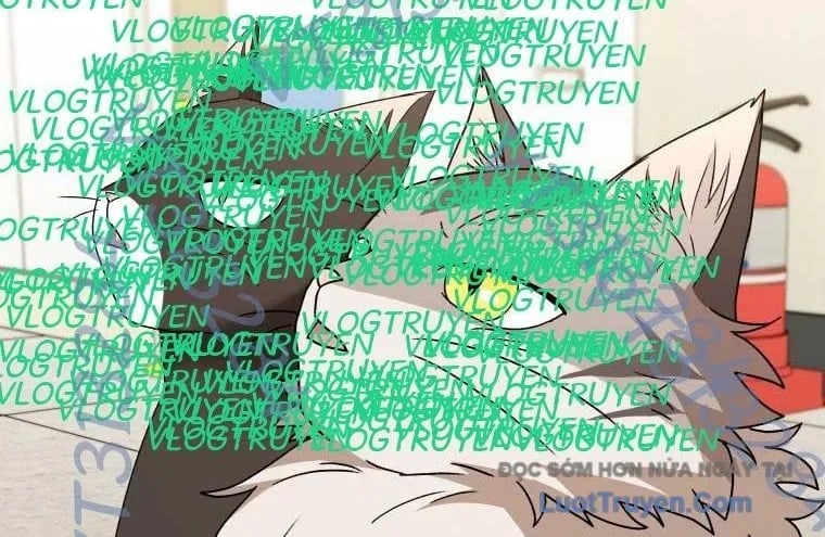 Xin Chào! Bác Sĩ Thú Y Chapter 105 - Trang 2