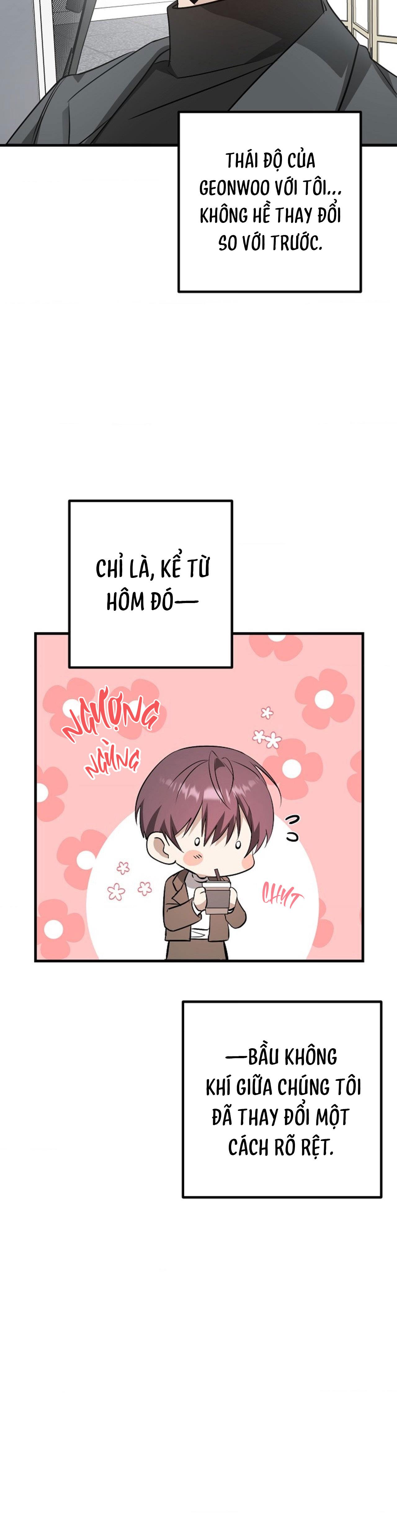 Xin Sếp Phê Duyệt Tối nay Chapter 12 37