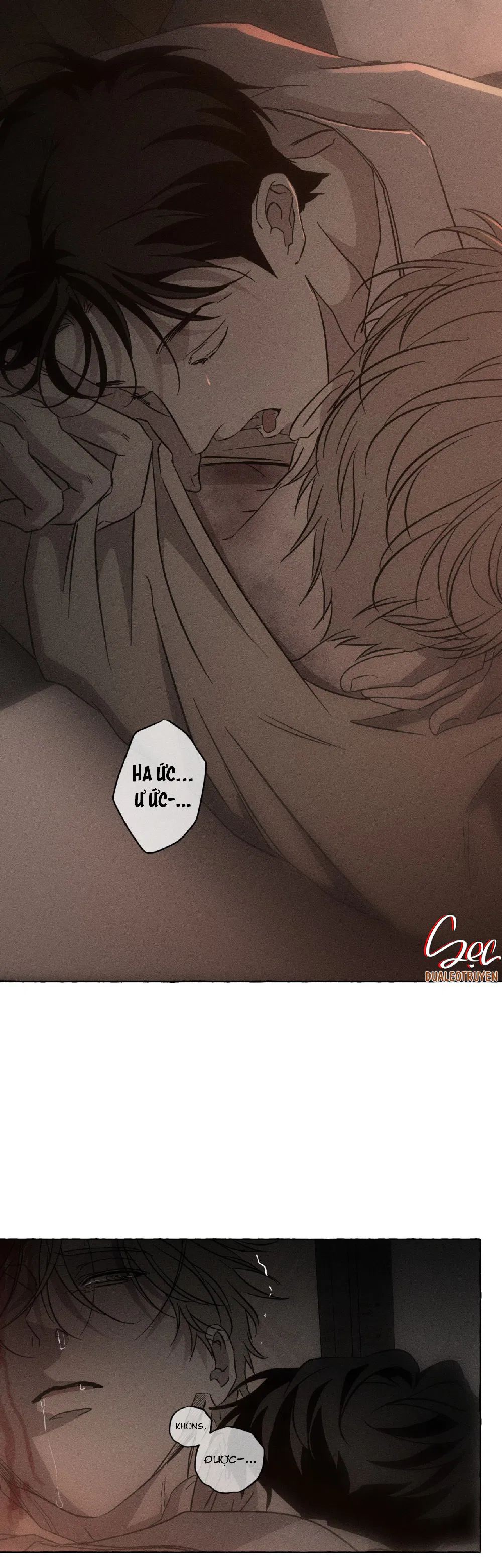 XƯƠNG VÀ CÁNH HOA Chapter 65 - Trang 3