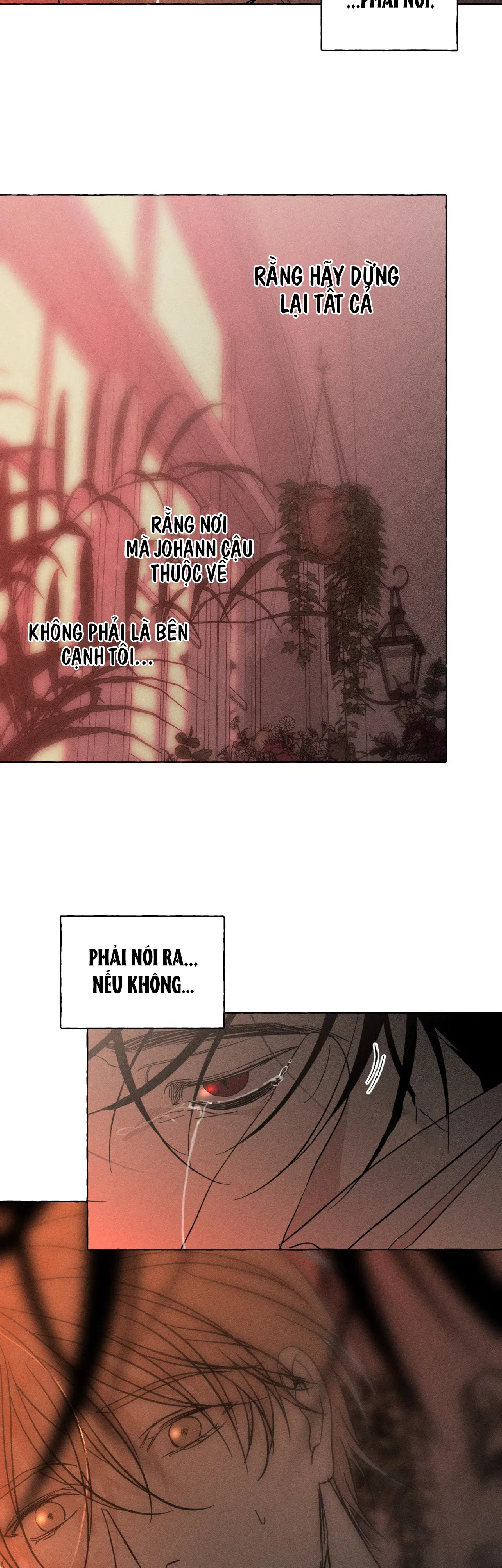 XƯƠNG VÀ CÁNH HOA Chapter 65 - Trang 3