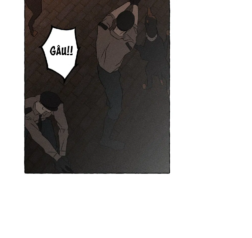 XƯƠNG VÀ CÁNH HOA Chapter 65 - Trang 3