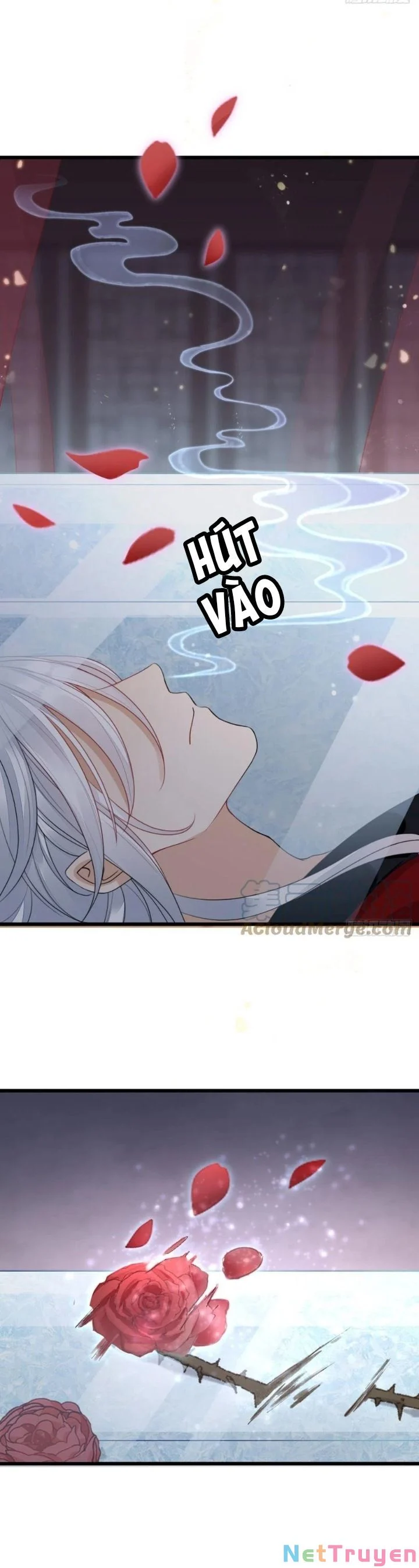 Xuyên Không Chi Viện : Ác Nữ Phản Diện Muốn Tẩy Trắng Chapter 30 - Trang 2