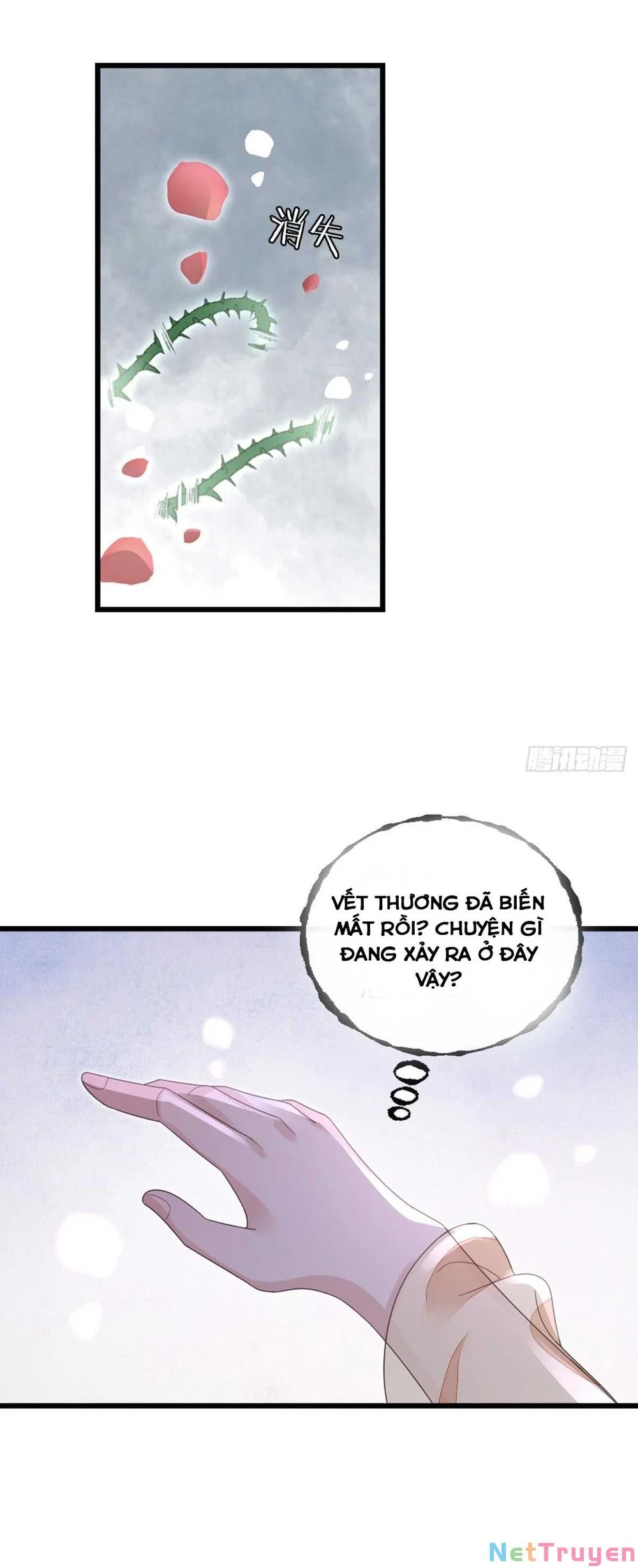 Xuyên Không Chi Viện : Ác Nữ Phản Diện Muốn Tẩy Trắng Chapter 62 - Trang 3