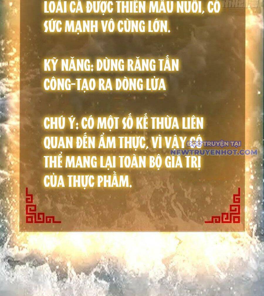 Xuyên Không Thành Chim Chapter 166 - Trang 4