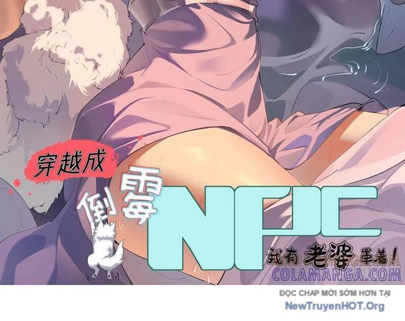 Xuyên Qua Thành Npc Xui Xẻo: Ta Có Lão Bà Che Chở Chapter 127 - Trang 2