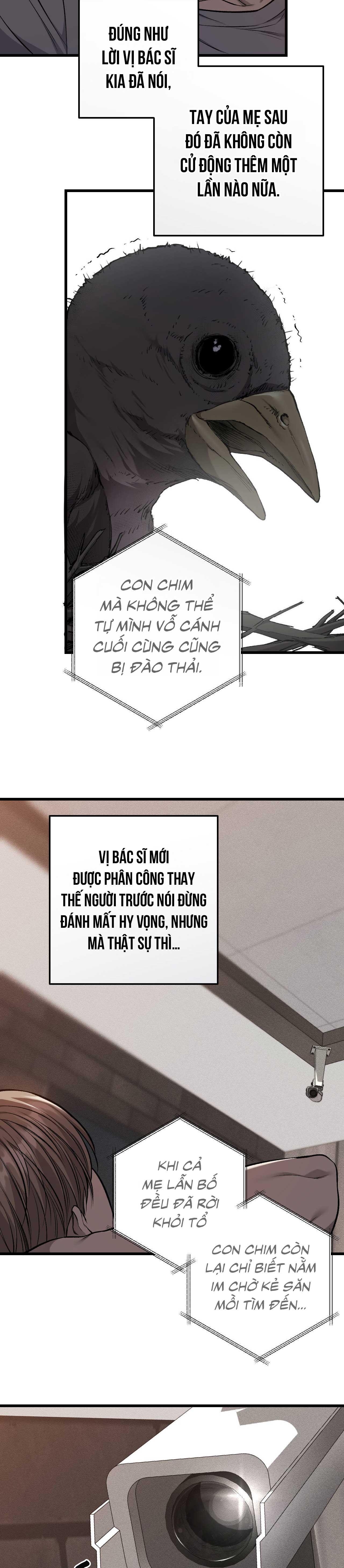 XX ĐÊ TIỆN Chapter 61 - Trang 3