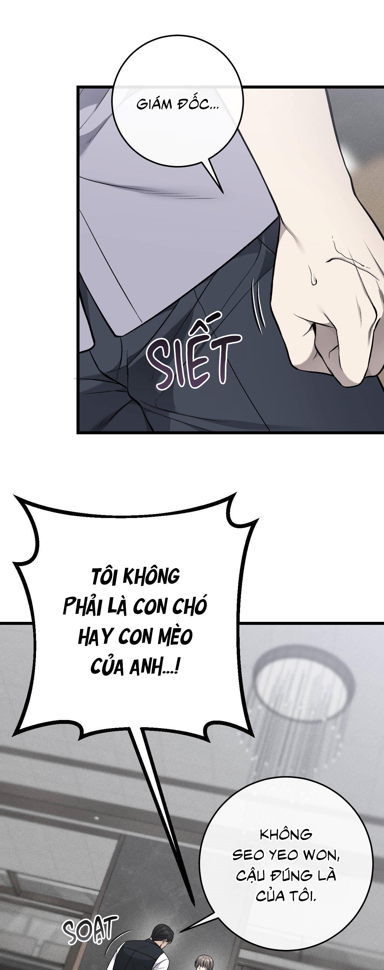 XX ĐÊ TIỆN Chapter 62 11