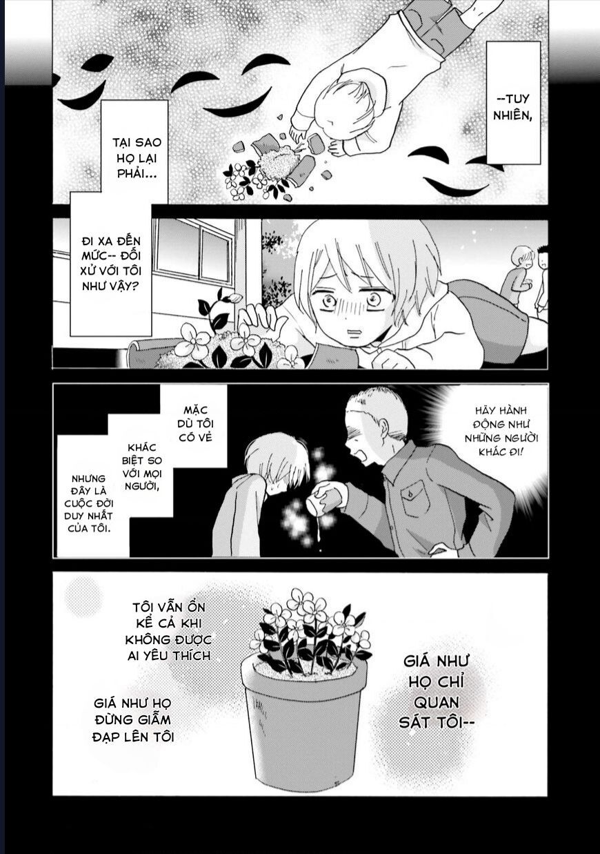 Yankee-Kun To Hakujou Gaaru Chapter 54 - Trang 3
