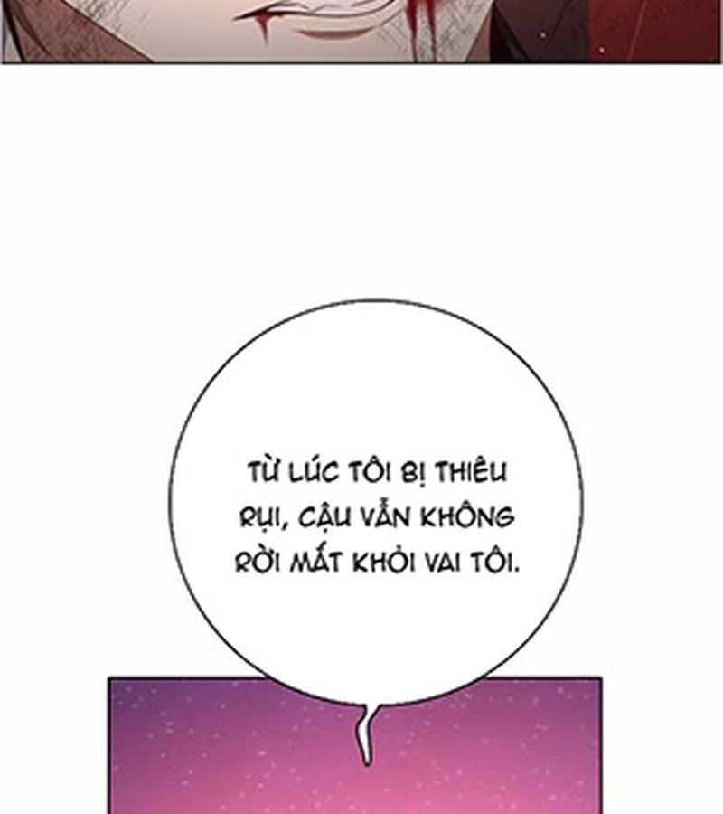 Zero Game Chapter 285 - Trang 3